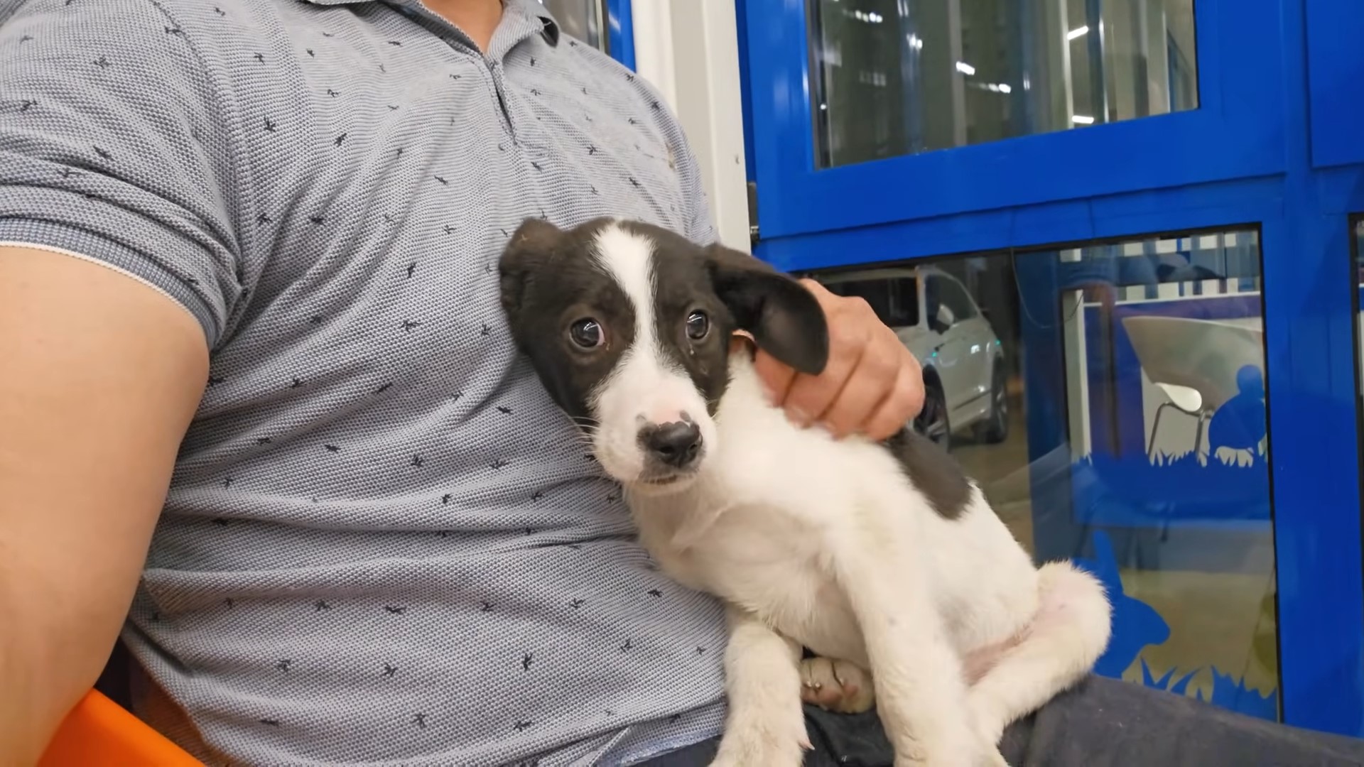 Rescue Mission Takes a Heartbreaking Turn No One Expected