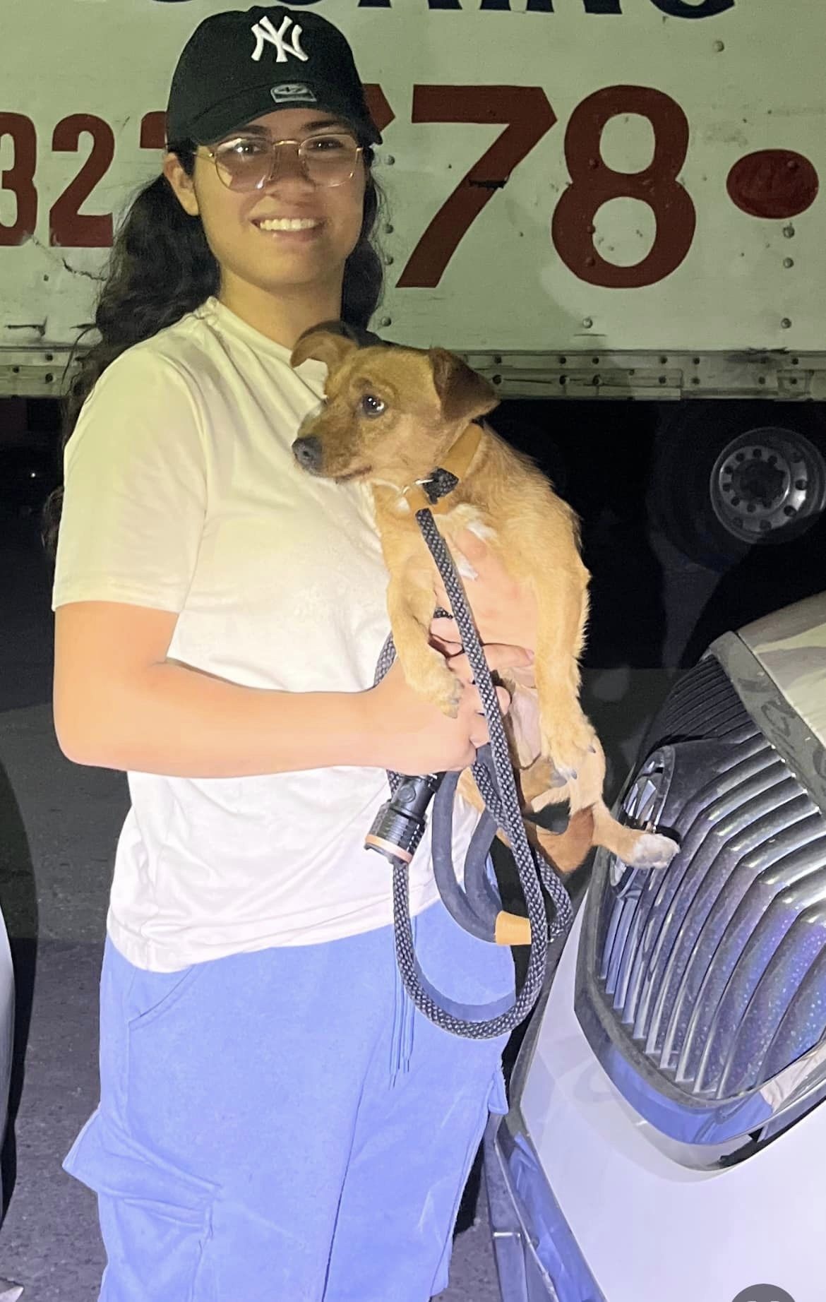 The Tear-Jerking Rescue of a Helpless Puppy in Despair