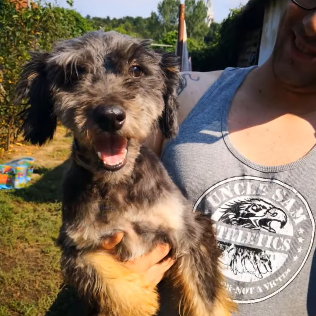 A Chance Encounter That Changed a Struggling Dog's Life Forever