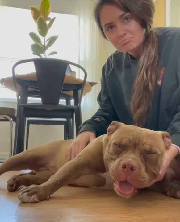 Descubra el increíble viaje de la segunda oportunidad de un perro en la vida-1