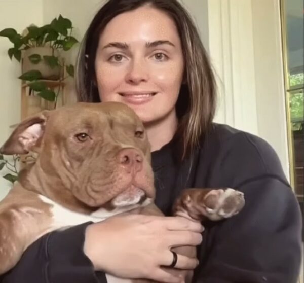Descubra el increíble viaje de la segunda oportunidad de un perro en la vida-1